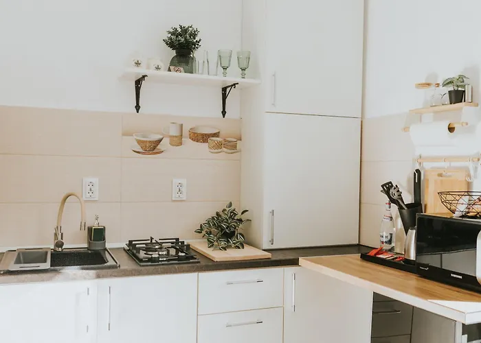 Apartment Victoria One Brasov